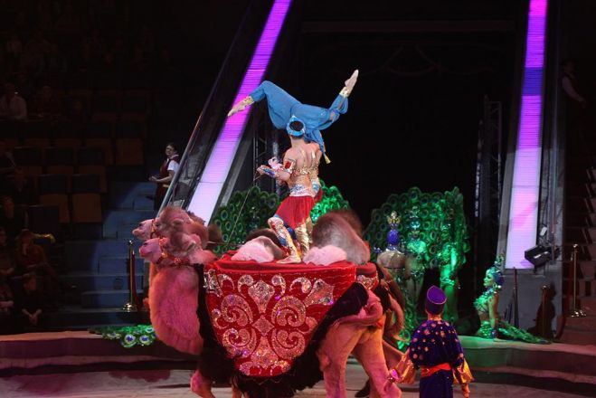 Леопарды под куполом цирка: премьера шоу &laquo;Баронеты&raquo; (ФОТО) - фото 22
