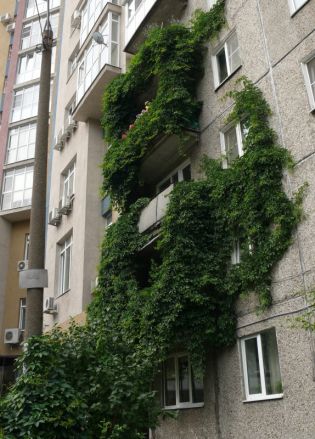 Самые красивые балконы и палисадники выберут в Нижнем Новгороде (ФОТО) - фото 6
