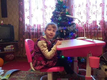 Владимир Панов исполнил мечту семилетней девочки из Дзержинска