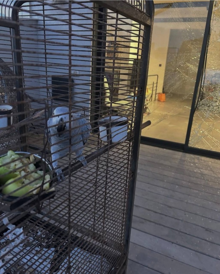 Квартира живущей в Тель-Авиве нижегородки пострадала от иранской ракеты - фото 6