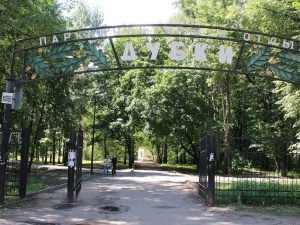 Новый подрядчик приступил к благоустройству парка «Дубки»