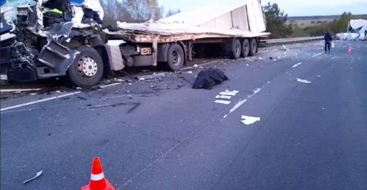 Водитель импортного грузовика погиб после столкновения с КамАЗом в Уренском районе - фото 1