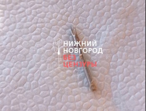Соцсети: иглу в шашлыке из Автозаводского парка нашли нижегородцы - фото 1