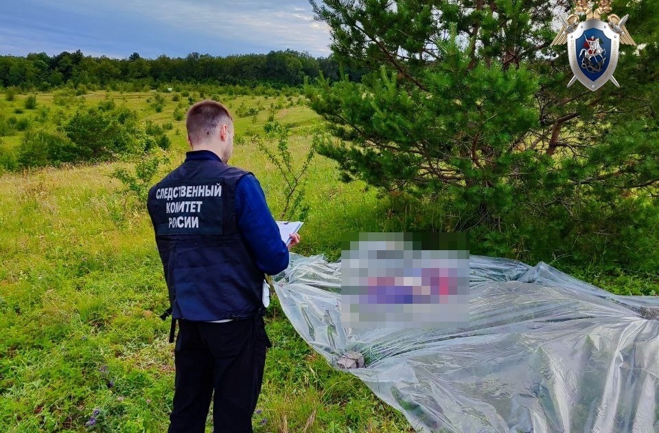 Соцсети: собиравшую ягоды пенсионерку зарезали в лесу в Нижегородской области - фото 1