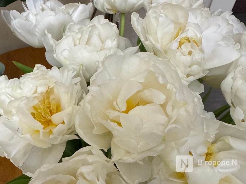 Мужчины, готовьтесь. Рассказываем, сколько стоят цветы к 8 марта в Нижнем Новгороде - фото 99