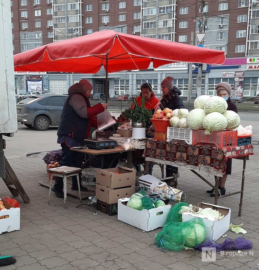 Никитин увеличил расстояние между продавцами на рынках Нижнего Новгорода