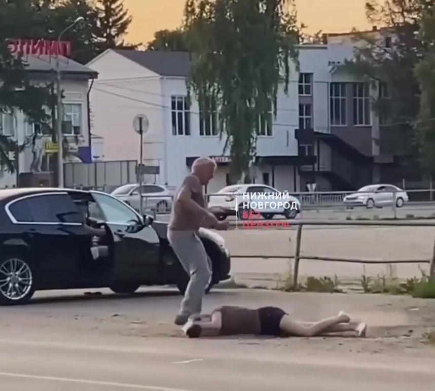 Следственный комитет заинтересовался избиением женщины в Ворсме - фото 1