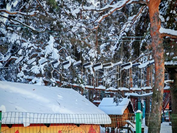 Аномальные морозы в Нижнем Новгороде: фоторепортаж из заснеженных парков - фото 31