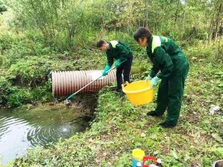 Завод в Кулебакском районе по производству воды оштрафовали за загрязнение ручья