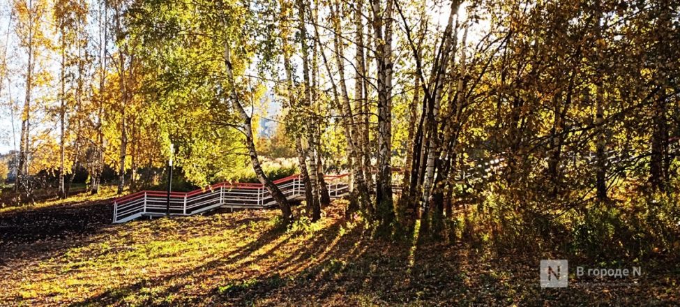 Благоустройство Лопатинского оврага завершилось в Нижнем Новгороде - фото 11