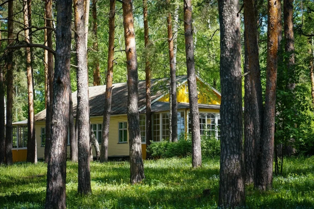 Летняя оздоровительная кампания начнется в Нижнем Новгороде с июня - фото 1