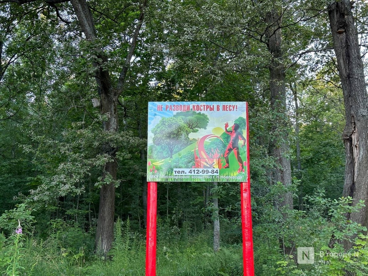 Запрет на посещение лесов ввели в Нижнем Новгороде - фото 1