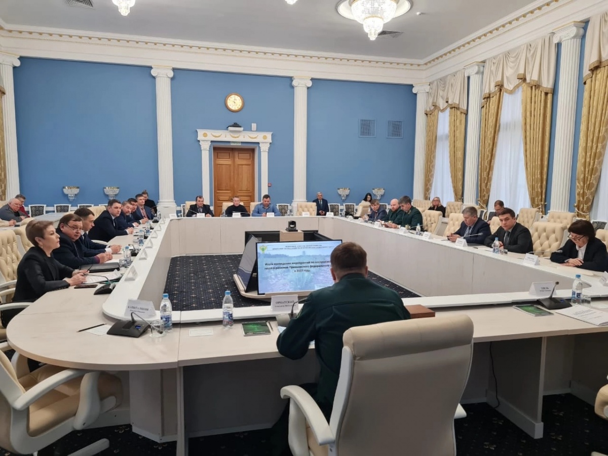 Нижегородская область вошла в пятерку лидеров среди регионов ПФО по сохранению лесов - фото 1