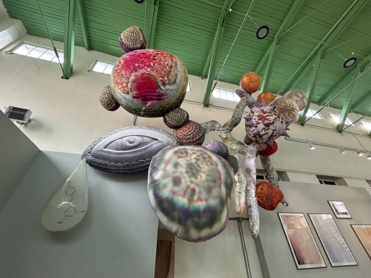 «Кожа Земли»: в Нижнем Новгороде проходит первая международная ЭкоБиеннале - фото 9