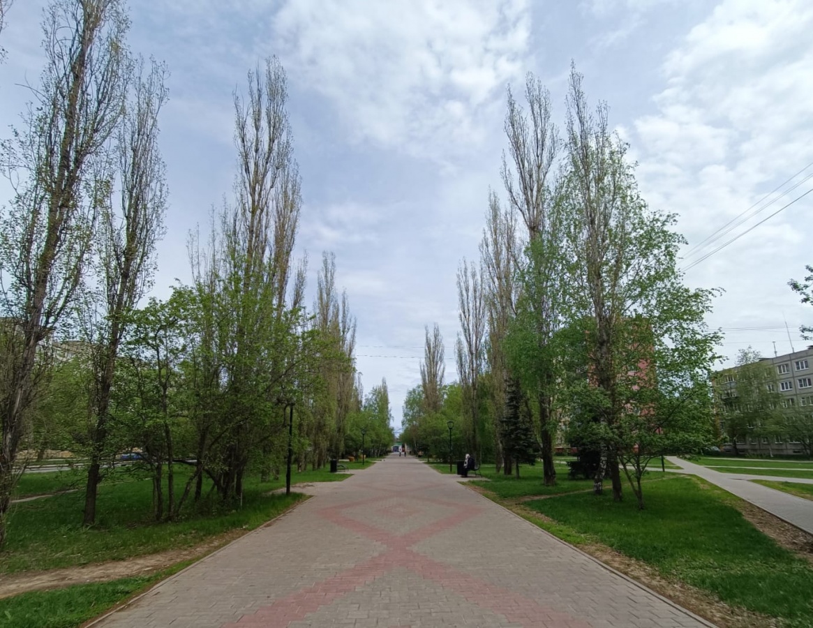 Фонтан и детские площадки установят в парке в Сормовском районе в 2024 году - фото 1