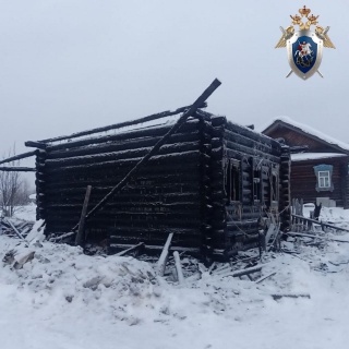 СК устанавливает причины смерти пенсионера на пожаре в Воскресенском районе - фото 1