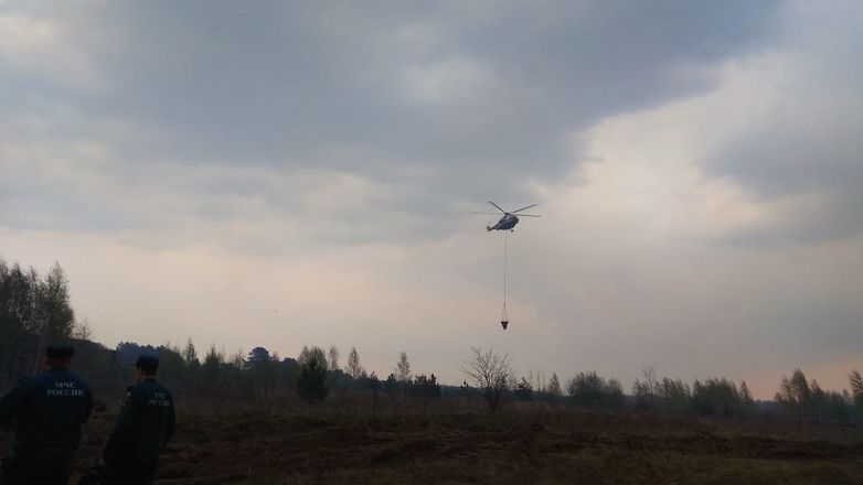 Около 170 га горящей травы тушили в Навашине с вертолета - фото 2