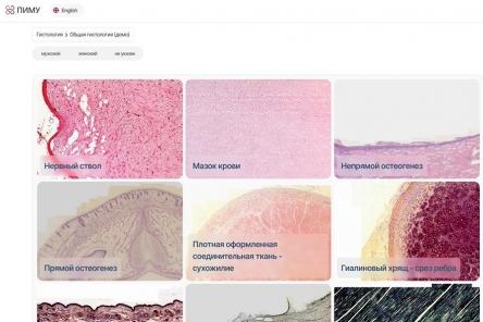 Первый медицинский онлайн-атлас создан в Нижегородской области