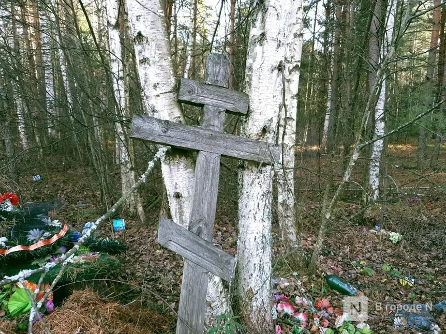 Памятники и ограды начали исчезать на Ново-Сормовском кладбище - фото 1