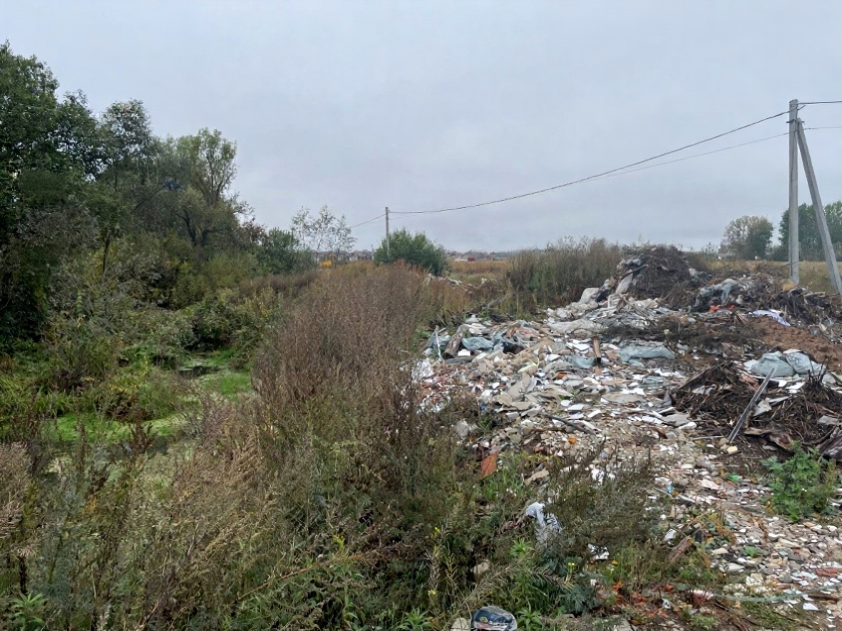 Более 1,9 млн рублей требуют с нижегородца из-за незаконной свалки - фото 1