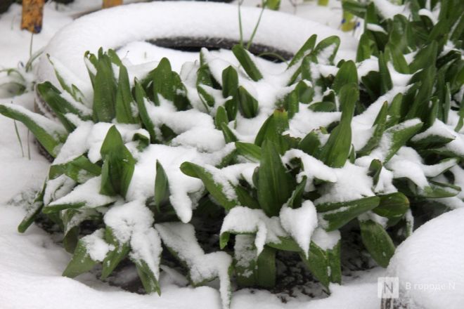 Апрельский апокалипсис в Нижнем Новгороде: фоторепортаж с улиц, заваленных снегом - фото 3