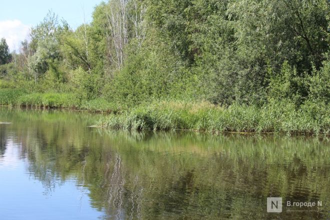 Страдания без остановки: куда и почему не ходит общественный транспорт в Нижнем Новгороде - фото 35