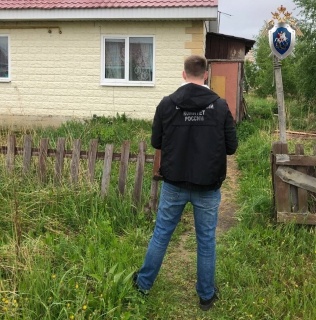 Житель Богородска получил 8,5 лет строгого режима за убийство женщины топором - фото 1