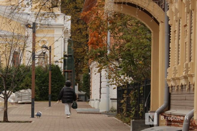 Фоторепортаж: золотая осень в Нижнем Новгороде - фото 74