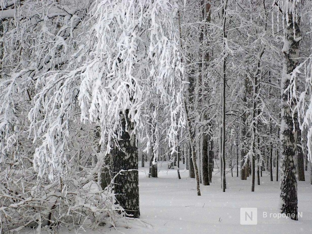 Потепление до +1&deg;С и снег ждут нижегородцев в выходные - фото 1
