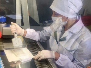 Новых энцефалитных клещей не нашли в Нижегородской области