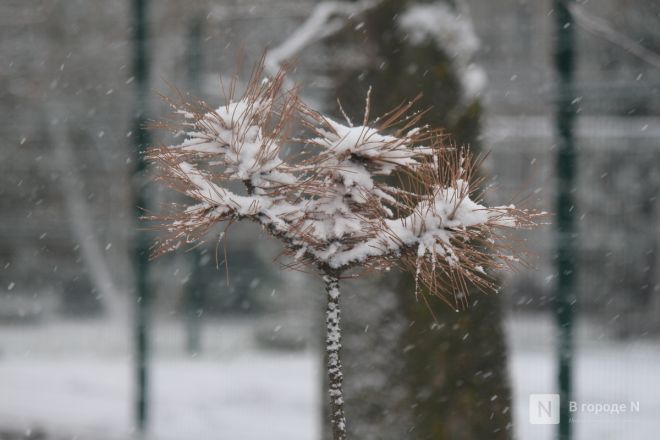 Фоторепортаж: как Нижний Новгород переживает снежную бурю 1 ноября - фото 95