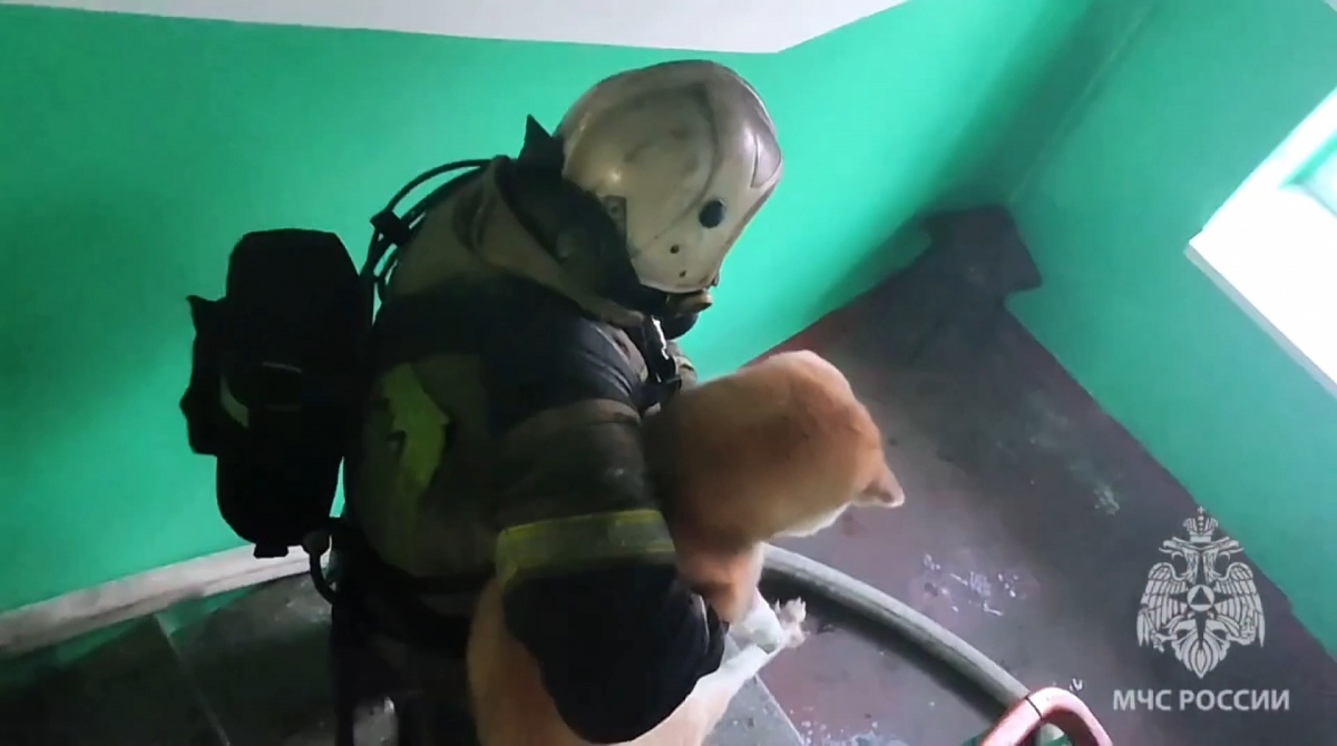 Двух человек и собаку спасли на пожаре из-за самогонного аппарата в Дзержинске - фото 1