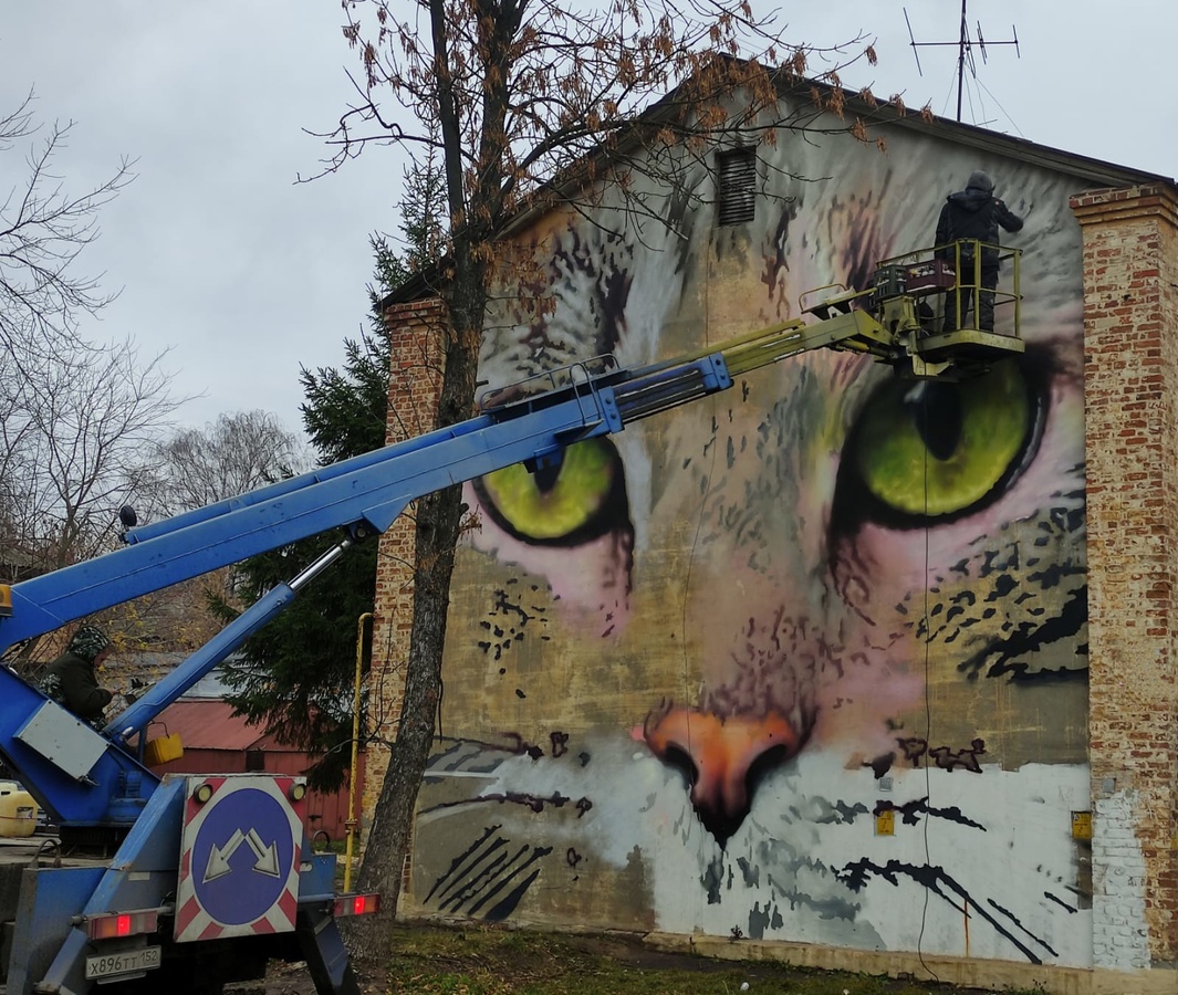 Граффити с котом появится на одном из домов на улице Культуры   - фото 1