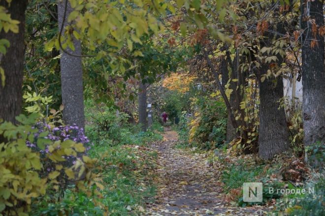 &laquo;Просто существуем&raquo;. Как нижегородцы живут в жутких бараках в районе Бекетова &mdash; фоторепортаж - фото 17