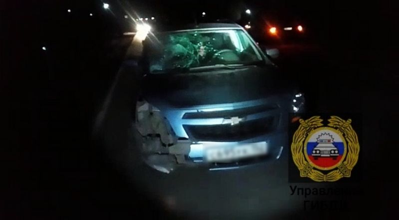 Водитель Chevrolet сбил насмерть пешехода с велосипедом в Ардатовском районе - фото 3