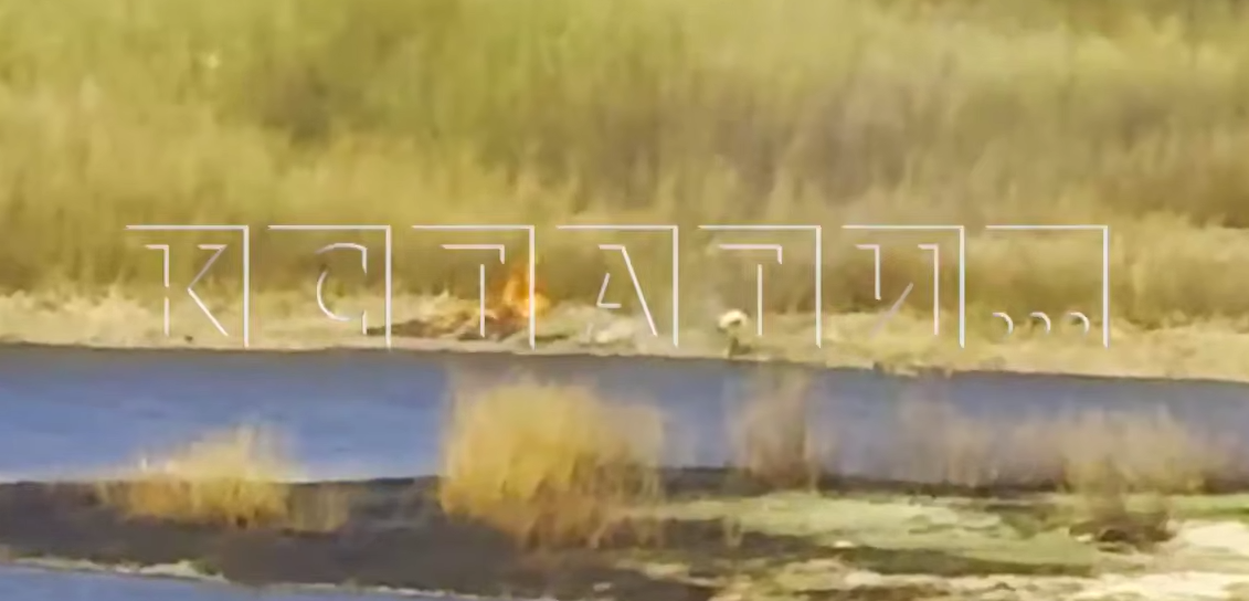 Поджигателя островов на Волге в Нижнем Новгороде засняли на видео - фото 1