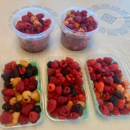 Спикер нижегородского Заксобрания Люлин поделился фотографиями урожая ягод - фото 1