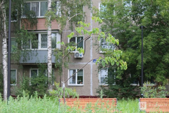 Благоустройство &ndash;  2025: смотрим, как меняются пространства в районах Нижнего Новгорода - фото 66