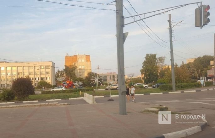 Световые автомобили, стрекозы и одуванчики появились в Нижнем Новгороде - фото 2
