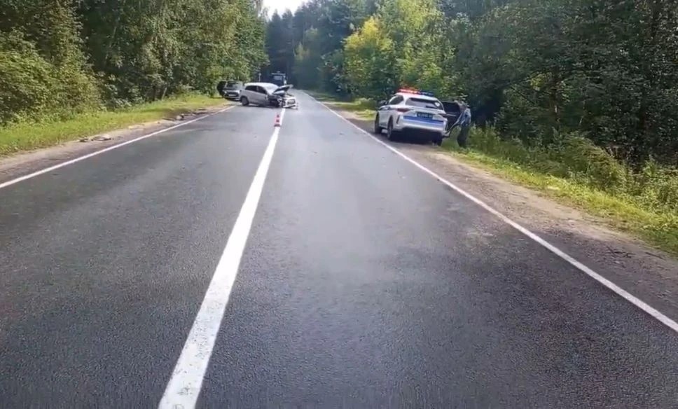 Водитель &laquo;Мицубиси&raquo; потерял сознание и влетел в &laquo;Ладу&raquo; в Городецком округе - фото 1