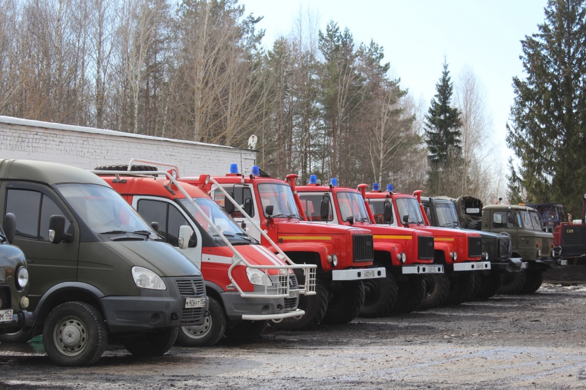 370 млн рублей направят на охрану нижегородских лесов от пожаров - фото 1