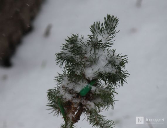 Апрельский апокалипсис в Нижнем Новгороде: фоторепортаж с улиц, заваленных снегом - фото 26