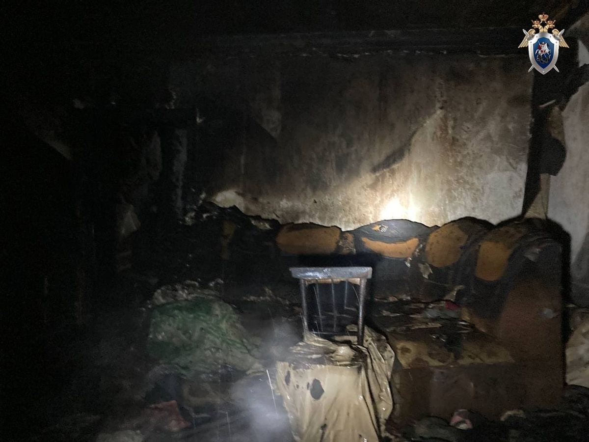 СК выясняет обстоятельства гибели двух мужчин на пожаре в Лукоянове - фото 2