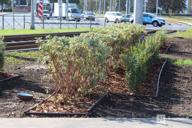 Благоустройство площади у Автозаводского универмага завершено в Нижнем Новгороде - фото 46