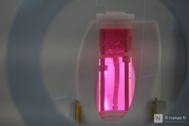 Микромир и скафандр для полета на Марс: фоторепортаж с необычной выставки в Нижнем Новгороде - фото 14