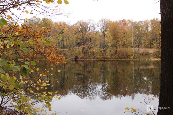 Фоторепортаж: золотая осень в Нижнем Новгороде - фото 24