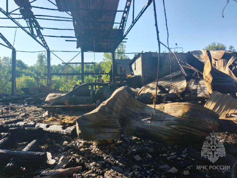 Стали известны подробности пожара в ангаре в Нижегородской области - фото 1