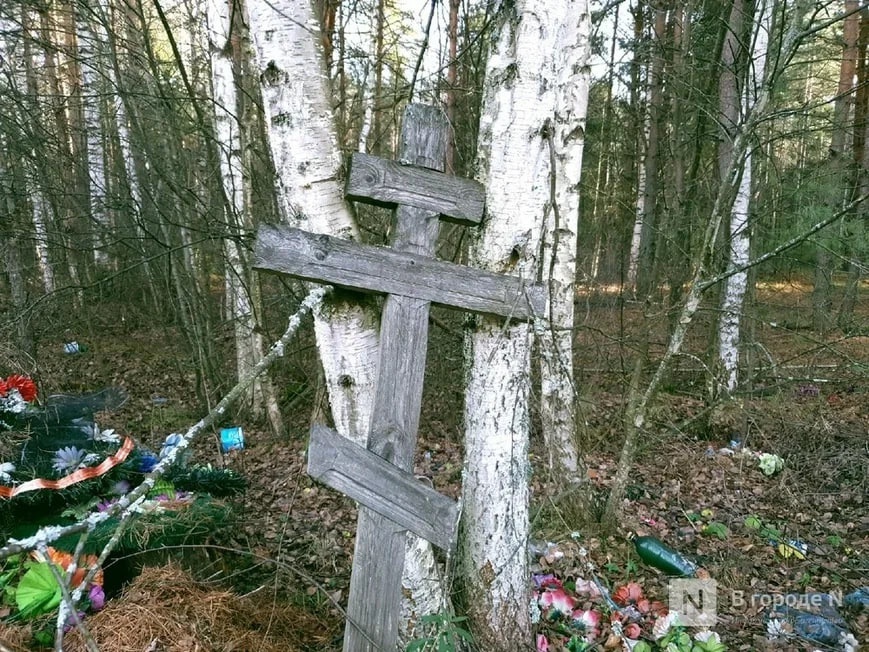 Власти назвали разгром на нижегородском кладбище благоустройством