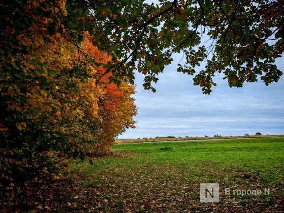 Та самая пушкинская осень: уютный фоторепортаж из Большого Болдина - фото 44