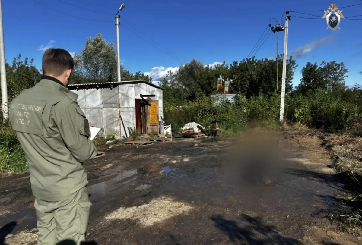 СК завел дело после гибели рабочего от отравления газом в Нижегородской области - фото 1